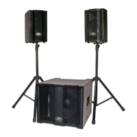 Preview: Peavey TriFlex II