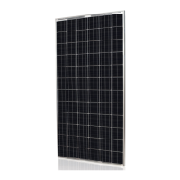 Preview: SunEdison Silvantis P300