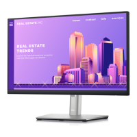 Preview: Dell P2222Ht