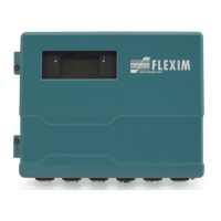 Preview: Flexim PIOX R721