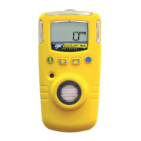 Preview: BW Technologies GasAlert Extreme