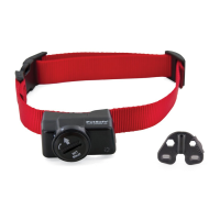 Preview: Wireless Pet Containment System Receiver Collar