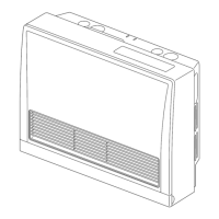 Preview: Rinnai EX DT Series