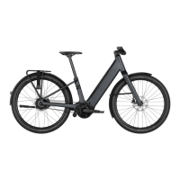 Preview: PURE CYCLING PRECEDE:ON U025