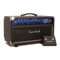 Preview: Two-Rock Custom Reverb
