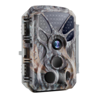 Preview: BlazeVideo T326