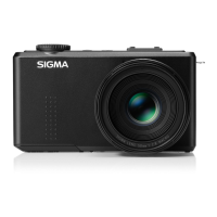 Preview: Sigma DP3 Merrill