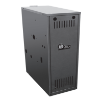 Preview: New Yorker CG-F Series