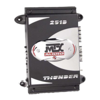 Preview: MTX Thunder 311D