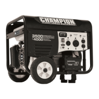 Preview: Champion Power Equipment 46539