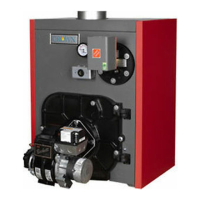 Preview: Crown Boiler TWZ Seies