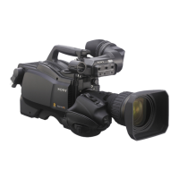 Preview: Sony HSC300RF