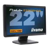 Preview: Iiyama ProLite E2208HDS
