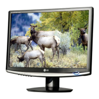 Preview: LG W1752T