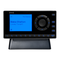 Preview: Sirius XM RAdio Onyx EZ