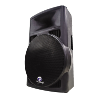 Preview: Phonic performer A220