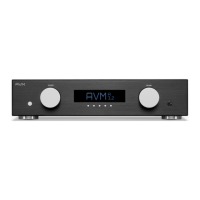 Preview: AVM EVOLUTION PA3.2