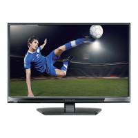 Preview: ProScan PLED2963A