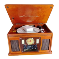Preview: Victrola VTA-300B