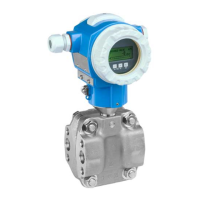 Preview: Endress+Hauser Deltabar S FMD76