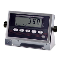 Preview: Rice Lake IQ plus 390-DC