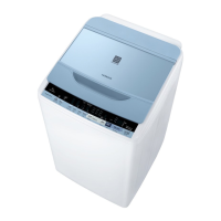 Preview: Hitachi BW-V80BSP