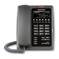 Preview: Avaya H239