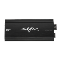 Preview: SKAR Audio RP-350.10