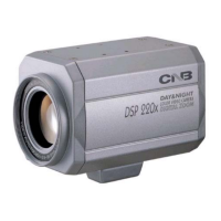 Preview: CNB AN200L