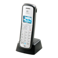 Preview: Cordless internet handset
