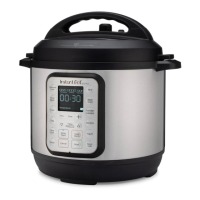 Preview: Instant Pot Duo Plus 30 v2