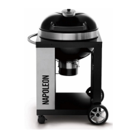 Preview: Napoleon CARBON PRO CART