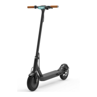 Preview: OXBOARD PRO2