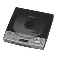 Preview: Sony D-V8000