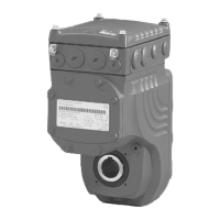 Preview: SEW-Eurodrive MGF-DSM Series