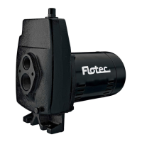 Preview: Pentair FLOTEC FP4212