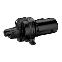 Preview: Pentair Flotec FP4512