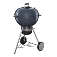 Preview: Weber 57882