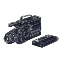 Preview: Panasonic OmniMovie PV-320