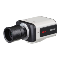 Preview: Sanyo VCC-HD2300