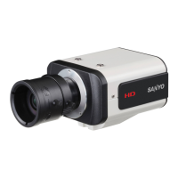 Preview: Sanyo VCC-HD2300P