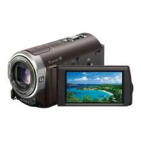 Preview: Sony HDR-CX350