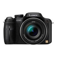Preview: Panasonic Lumix DMC-FZ45