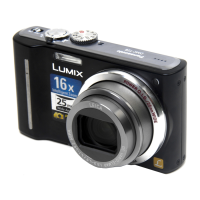 Preview: Panasonic Lumix DMC-TZ10