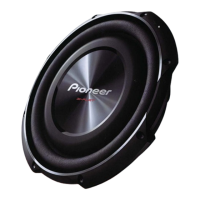 Preview: Pioneer TS-SW300254