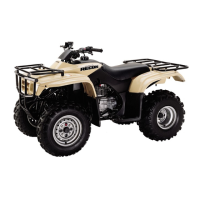 Preview: Honda Fourtrax TRX 250TM