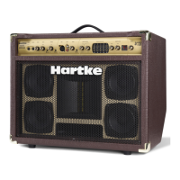 Preview: Hartke AC75