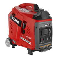 Preview: Black Max BMi2100 Series