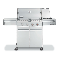 Preview: Weber Summit 420