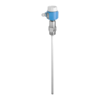Preview: Endress+Hauser Liquicap M FMI51